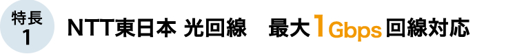 特長1 NTT光回線 最大1Gbps回線対応