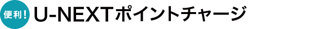 便利！PPV（ペイパービュー）ポイントチャージ